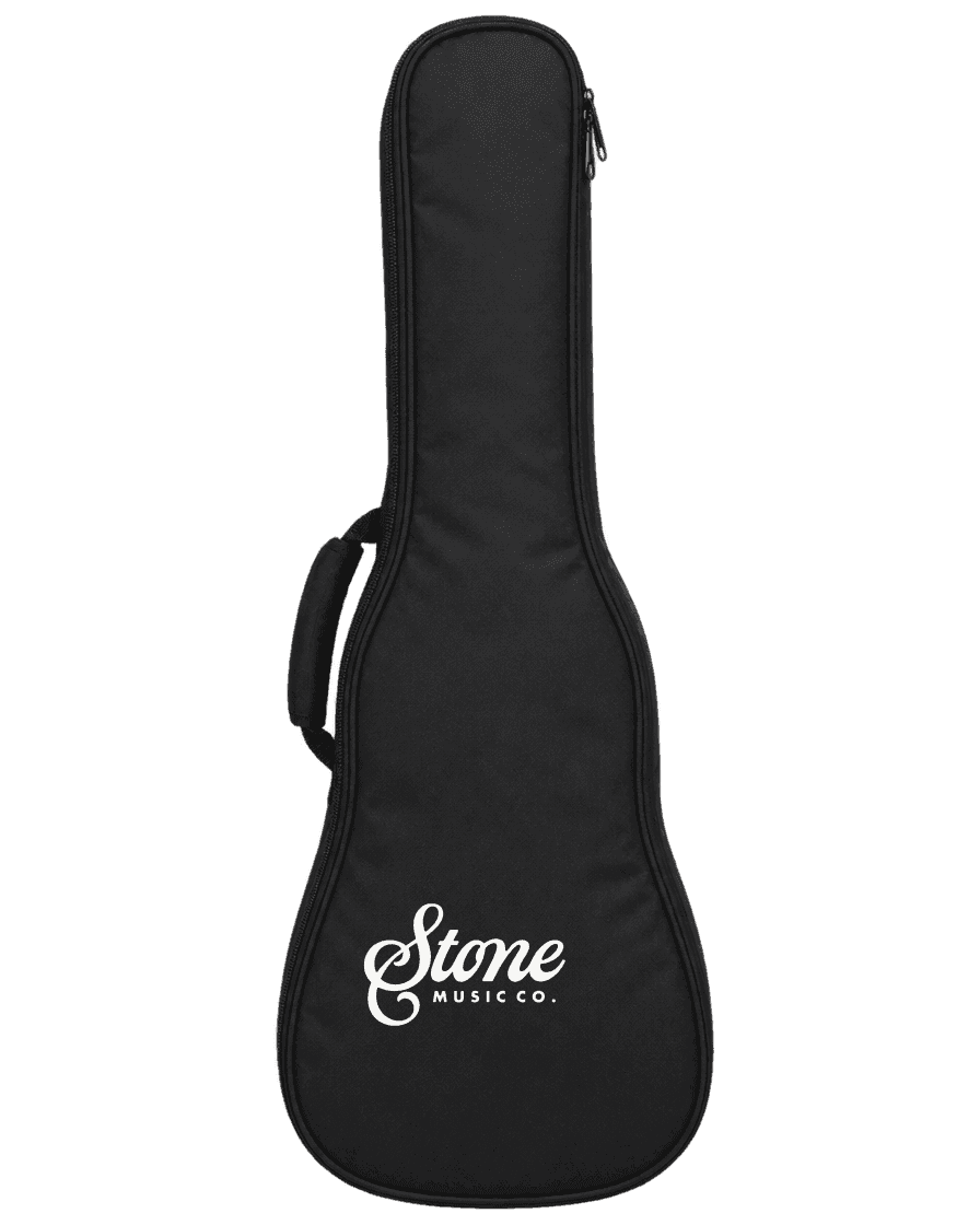 Padded gig bag