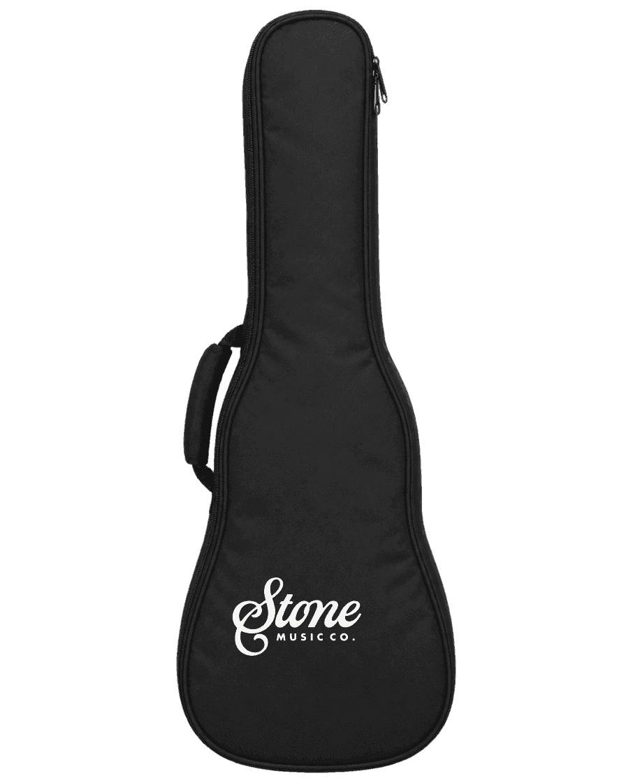 Padded gig bag